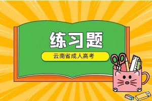 2024年云南省成人高考专升本《大学语文》练习试题及答案(12)
