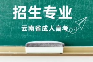 云南成考提升学历可以报小学教育专业吗？