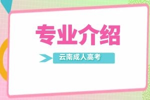 2024年云南省成人高考高起本&mdash;&mdash;国际经济与贸易专业介绍
