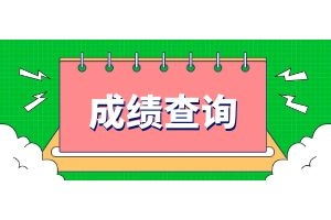 2024年云南省成考成绩查询网站