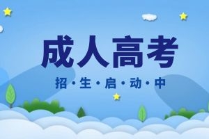 成人大学录取结果怎么查询