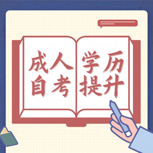 低学历的我何去何从