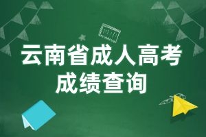 2024年云南省成人高考成绩查询方式有哪些？