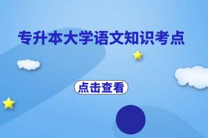 云南省成人高考专升本大学语文知识点考：文言文虚词