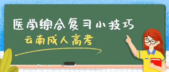 2024年云南成人高考：专升本医学综合如何复习？