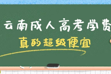 2024年云南成人高考学费贵吗？