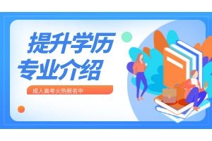2024年云南省成人高考高起专-艺术设计专业