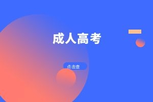 2024年云南成人高考成绩查询方式是什么