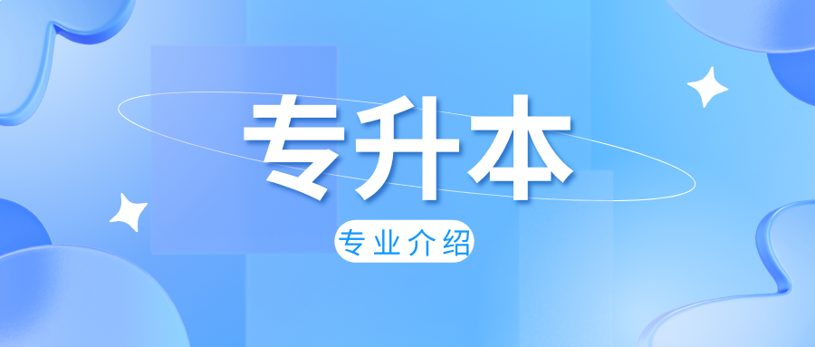 2025年迪庆成考本科热门专业推荐