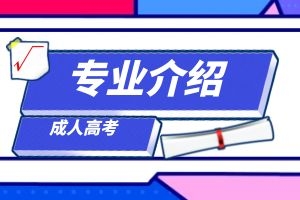 云南成人高考专升本《工商管理》专业