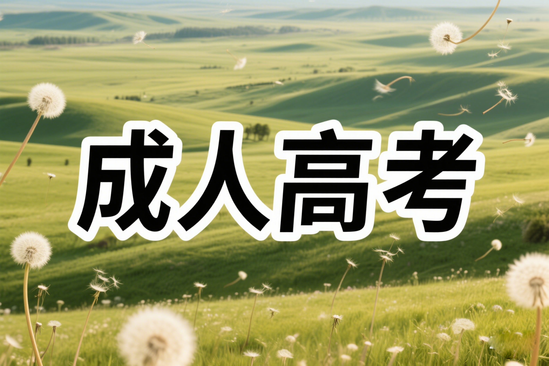 40岁有必要考成人高考吗？考什么专业比较合适？